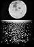 Chasing the Moon