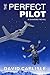 The Perfect Pilot (Falling Eagle Book 1)