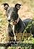 Retired Greyhounds: A Guide...