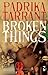Broken Things (Salt Modern Fiction)