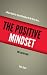 The Positive Mindset Manual by Talor Zamir
