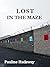 Lost In The Maze (Belfast Exposed Book 1)