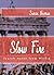 Slow Fire: Jewish Notes from Berlin (Journeys & Memoirs Series)