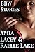 BBW Stories (BBW Erotica Stories Book 1)