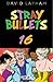 Stray Bullets #16