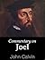 Commentary on Joel