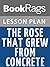 Lesson Plan The Rose That Grew from Concrete by Tupac Shakur