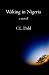 Waking in Nigeria by C.L. Dahl