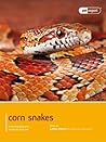 Corn Snakes