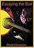 Escaping the Sun