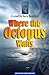Where the Octopus Waits (Wisdom Seeker Book 2)