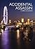 ACCIDENTAL ASSASSIN (The upward march of Nshila Ileloka Book 1)