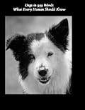Dogs in 999 Words: What Every Human Should Know
