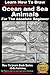 Learn How to Draw Portraits of Ocean And Sea Animals in Pencil For the Absolute Beginner (Learn to Draw Book 12)