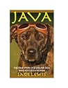 JAVA: The True Story of a Shelter Dog Who Rescued a Woman