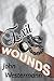 EXIT WOUNDS (Orin Boyd Books Book 1)