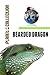 Bearded Dragon Picture Book Educational Children's Books Collection - Level