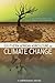 Southern African Agriculture and Climate Change