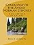 Genealogy of the Anglo-Norman Lynches by Paul McNulty
