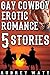 Gay Cowboys #1-5