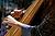 The Genteel Crowd: Being Vu...
