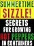Summertime Sizzle: Secrets ...