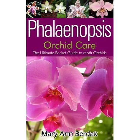ファッションなデザイン Simon Schuster S Orchids To Guide その他 ファッションなデザイン Simon Schuster S Orchids To Guide その他