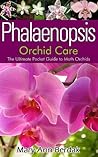 Phalaenopsis Orch...