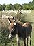 A Donkey Named Minnie, A Photo-Story for People Who Love Donkeys