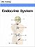 Endocrine System (Human Body Book 5)