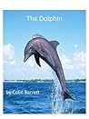 The Dolphin by Colin   Barrett