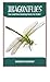 Dragonflies: Fun and Fascinating Facts for Kids!