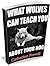 WHAT WOLVES CAN TEACH YOU ABOUT YOUR DOG