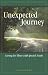 Unexpected Journey - When S...