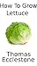 How To Grow Lettuce