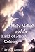 Mally Malbith and the Land of Many Colours (The Mally Malbith Series Book 1)