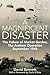 A Magnificent Disaster by David   Bennett