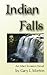 Indian Falls (An Alien Invasion Novel)