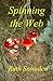Spinning the Web - Soul Jou...