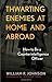 Thwarting Enemies at Home and Abroad by William R. Johnson