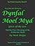 Dynfal Moel Myd: Giver of t...