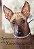Operations Manual for the Xoloitzcuintli: A Guide to the Mexican Hairless Dog (Illustrated dog ebook)