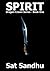 Spirit (Dragon Crown Series - Book One 1)