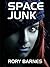Space Junk