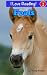 Foals (An "I Love Reading" ...