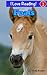 Foals (An "I Love Reading" Level 2 Reader)