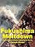 Fukushima Meltdown: The World's First Earthquake-Tsunami-Nuclear Disaster