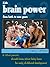 Kids Brain Power From Birth To Nine Years And What Parents Should Know About Baby Brain For Early Childhood Development