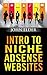 Intro To Niche Adsense Webs...