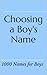 Choosing a Boy's Name: 1000...